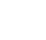 Noesse ISO 9001