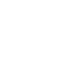 Noesse ISO 9001